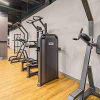 U3009D Турник, брусья с противовесом. Стек 88 кг