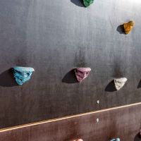 W259 Воркаут Стенка для лазания с зацепами (скалодром) ZAVODSPORTA